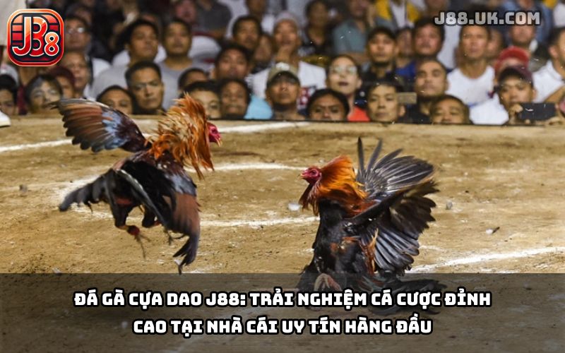 Đá Gà Cựa Dao J88